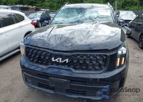 2024 Kia Telluride Sx X-Line from USA, damaged, VIN 5XYP5DGC8RG520090